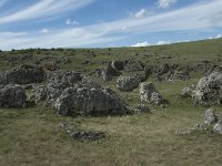 F, Lozere, Gatuzieres, Aures 5, Saxifraga-Willem van Kruijsbergen