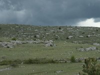 F, Lozere, Hures-la-Parade, Hures 1, Saxifraga-Willem van Kruijsbergen