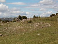 F, Lozere, Le Pompidou, l' Hospitalet 13, Saxifraga-Annemiek Bouwman