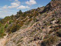 F, Lozere, Le Pompidou, l' Hospitalet 2, Saxifraga-Annemiek Bouwman