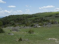 F, Lozere, Le Pompidou, l' Hospitalet 36, Saxifraga-Willem van Kruijsbergen