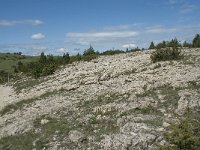 F, Lozere, Le Pompidou, l' Hospitalet 8, Saxifraga-Willem van Kruijsbergen