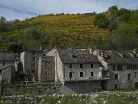 F, Lozere, Le Pont-de-Montvert 12, Saxifraga-Willem van Kruijsbergen