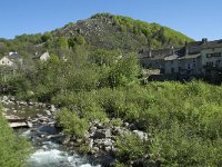 F, Lozere, Le Pont-de-Montvert 7, Saxifraga-Willem van Kruijsbergen