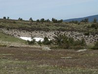 F, Lozere, Le Pont-de-Montvert, Col de Finiels 11, Saxifraga-Willem van Kruijsbergen