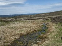 F, Lozere, Le Pont-de-Montvert, Col de Finiels 14, Saxifraga-Willem van Kruijsbergen