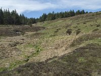 F, Lozere, Le Pont-de-Montvert, Col de Finiels 6, Saxifraga-Willem van Kruijsbergen