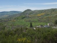 F, Lozere, Le Pont-de-Montvert, Finiels 13, Saxifraga-Willem van Kruijsbergen