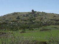 F, Lozere, Le Pont-de-Montvert, Finiels 15, Saxifraga-Willem van Kruijsbergen