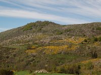 F, Lozere, Le Pont-de-Montvert, Finiels 30, Saxifraga-Annemiek Bouwman