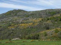 F, Lozere, Le Pont-de-Montvert, Finiels 43, Saxifraga-Willem van Kruijsbergen