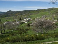 F, Lozere, Le Pont-de-Montvert, Finiels 44, Saxifraga-Willem van Kruijsbergen