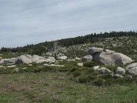 F, Lozere, Le Pont-de-Montvert, Finiels 48, Saxifraga-Willem van Kruijsbergen