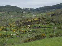 F, Lozere, Le Pont-de-Montvert, Finiels 7, Saxifraga-Willem van Kruijsbergen