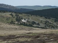 F, Lozere, Le Pont-de-Montvert, Sommet de Finiels 43, Saxifraga-Willem van Kruijsbergen