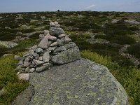 F, Lozere, Pont-de-Montvert-Sud-Mont-Lozère, Picde Finiels 24, Saxifraga-Dirk Hilbers