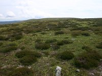 F, Lozere, Pont-de-Montvert-Sud-Mont-Lozère, Picde Finiels 26, Saxifraga-Dirk Hilbers