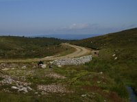 F, Lozere, Pont-de-Montvert-Sud-Mont-Lozère, Picde Finiels 27, Saxifraga-Dirk Hilbers