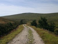 F, Lozere, Pont-de-Montvert-Sud-Mont-Lozère, Picde Finiels 28, Saxifraga-Dirk Hilbers