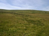 F, Lozere, Pont-de-Montvert-Sud-Mont-Lozère, Picde Finiels 34, Saxifraga-Dirk Hilbers