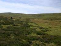 F, Lozere, Pont-de-Montvert-Sud-Mont-Lozère, Picde Finiels 36, Saxifraga-Dirk Hilbers