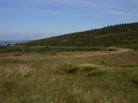 F, Lozere, Pont-de-Montvert-Sud-Mont-Lozère, Picde Finiels 37, Saxifraga-Dirk Hilbers