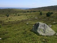 F, Lozere, Pont-de-Montvert-Sud-Mont-Lozère, Picde Finiels 38, Saxifraga-Dirk Hilbers