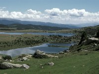 F, Pyrenees Orientales, Angoustrine-villeneuve-des-escaldes, Estany Llong 2, Saxifraga-Jan van der Straaten