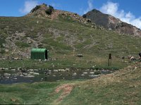 Pyrenees Orientalis