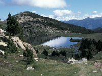 F, Pyrenees Orientales, Matemale, Estany de les Dugues 1, Saxifraga-Jan van der Straaten