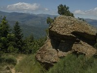 F, Pyrenees Orientales, Vernet-les-Bains, Col de Juell 1, Saxifraga-Jan van der Straaten