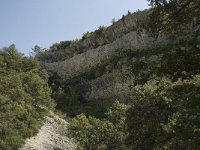 F, Vaucluse, Bedoin, Combe de Curnier 1, Saxifraga-Willem van Kruijsbergen