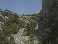 F, Vaucluse, Bedoin, Combe de Curnier 2, Saxifraga-Willem van Kruijsbergen