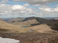 GB, Highland, Aviemore, Cairngorms 3, Saxifraga-Bas Klaver