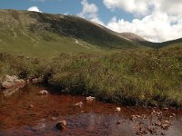 GB, Highland, Portree, Cuillin hills 5,  Saxifraga-Bas Klaver