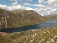 GB, Moray, Glenlivet, Loch Avon 1, Saxifraga-Bas Klaver