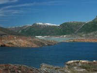 N, Nordland, NP Saltfjellet-Svartisen, Svartisdalen 1, Saxifraga-Marjan van der Heiden