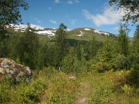 N, Nordland, NP Saltfjellet-Svartisen, Tespadalen 1, Saxifraga-Marjan van der Heiden