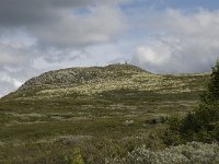 N, Oppland, Nord-Fron, Kvam, Rondablikk 2, Saxifraga-Willem van Kruijsbergen
