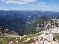 SLO, Gorenjska, Bled, Debela Pec 7, Saxifraga-Hans Dekker