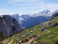 SLO, Gorenjska, Bled, Debela Pec 8, Saxifraga-Hans Dekker