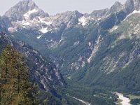 SLO, Gorenjska, Bovec, Trenta 1, Saxifraga-Hans Dekker