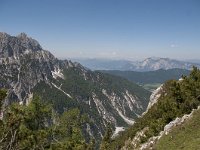 SLO, Gorenjska, Kranjska Gora 12, Saxifraga-Luuk Vermeer