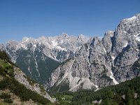 SLO, Gorenjska, Kranjska Gora 19, Saxifraga-Luuk Vermeer