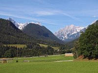 SLO, Gorenjska, Kranjska Gora, Mojstrana 4, Saxifraga-Hans Dekker