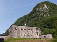 SLO, Goriska, Bovec, Prelaz Predel 1, Saxifraga-Hans Dekker