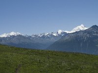CH, Wallis, Evolene, Mont Blanc de Cheilon 1, Saxifraga-Willem van Kruijsbergen