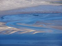 NL, Friesland, Vlieland, Vliehors 96, Saxifraga-Foto Fitis-Sytske Dijksen