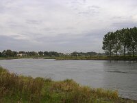 NL, Gelderland, Rheden, Havikerwaard 1, Saxifraga-Henk Sierdsema