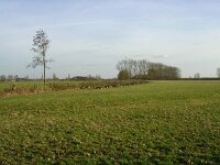 NL, Gelderland, Rheden, Havikerwaard 12, Saxifraga-Henk Sierdsema